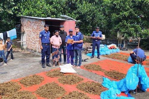 বাড়ির ছাদে শুকানো হচ্ছিল ৬০ কেজি গাঁজা