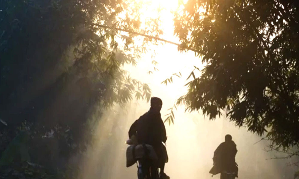 1731822957-949badd3dad97d739d3ce3d200406f70