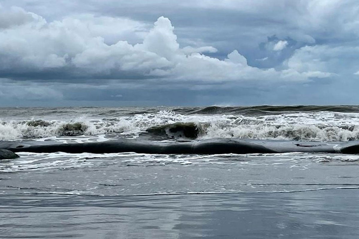 1762110193-c901f1ab65fc33e15baae9df4c9ab821