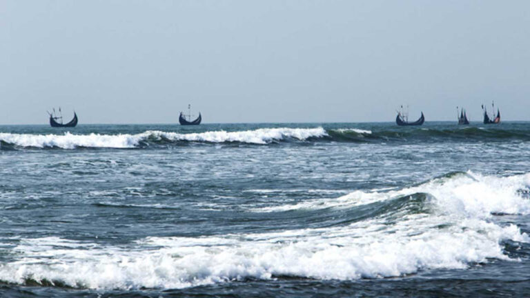 dhakatoday1763791099west-bay-2025