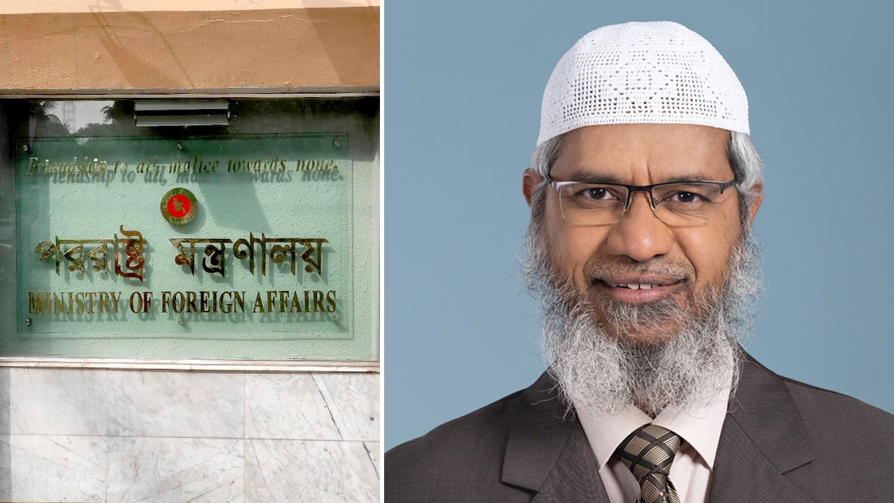 image_236913_1762012038