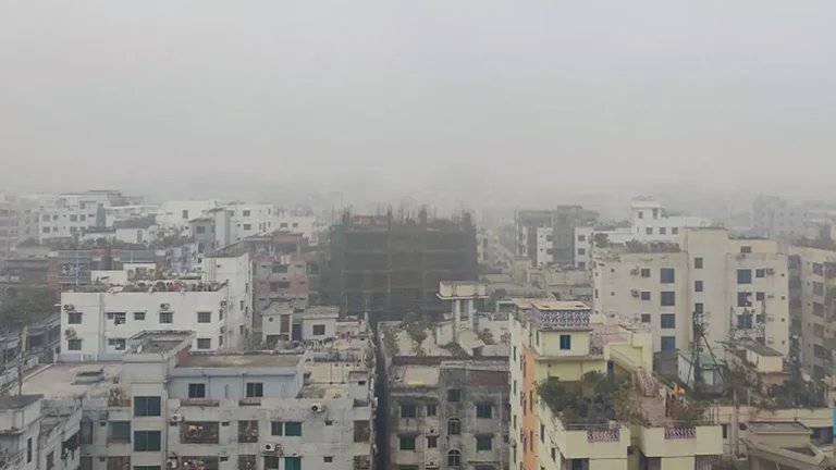 image_239895_1762914721