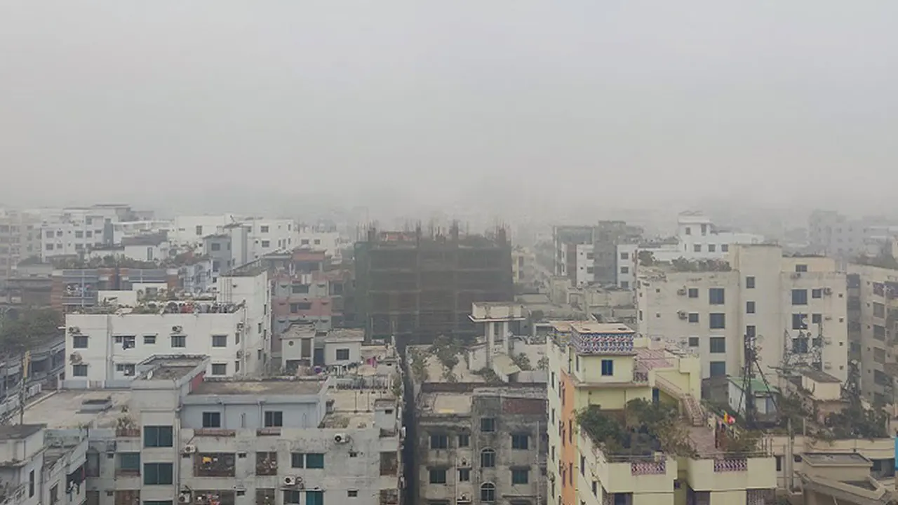 image_239895_1762914721