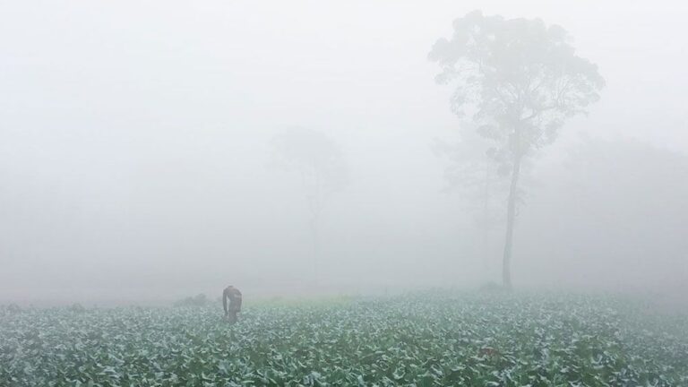 winter-690c36f435392