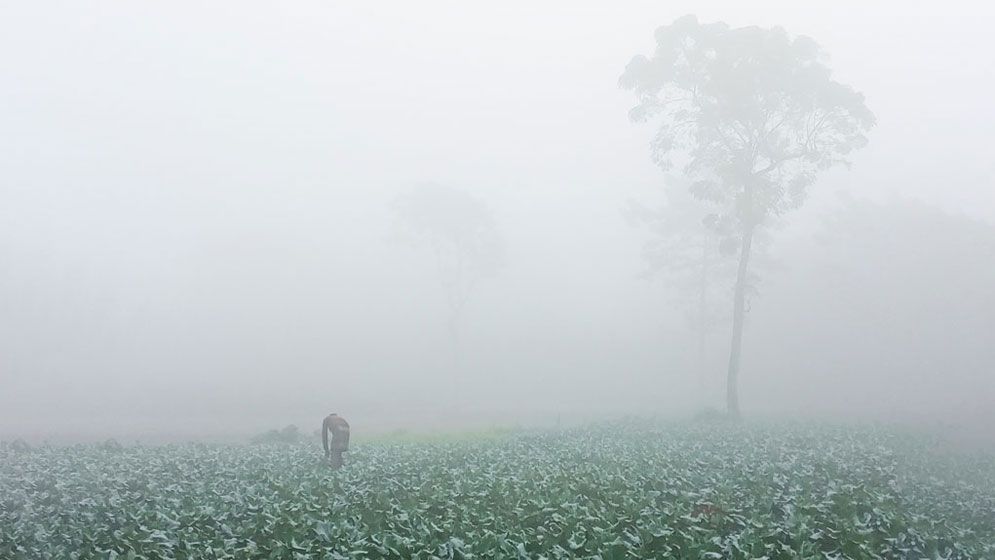 winter-690c36f435392