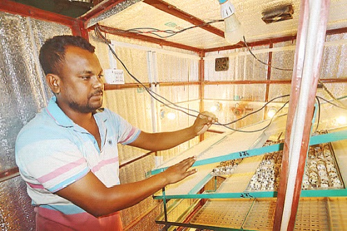 গ্রামের কৃষকদের জন্য স্বপ্নের কৃষি উদ্যোগ