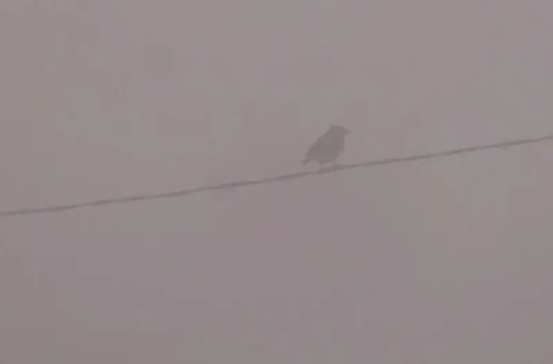 rtrgrtg-695163573431c