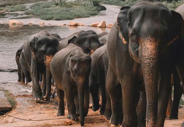 india-(5)-20260213203740