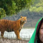 ffa2b548d90fd060d4c2f0a89862e1ca-69b6617935173