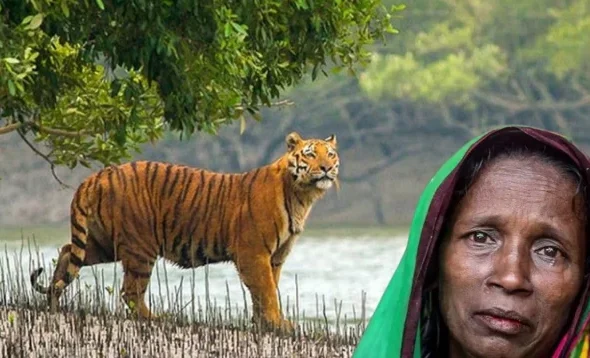 ffa2b548d90fd060d4c2f0a89862e1ca-69b6617935173