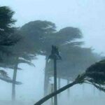 fdfghj-20260309044849