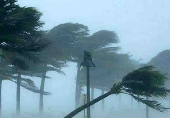 fdfghj-20260309044849