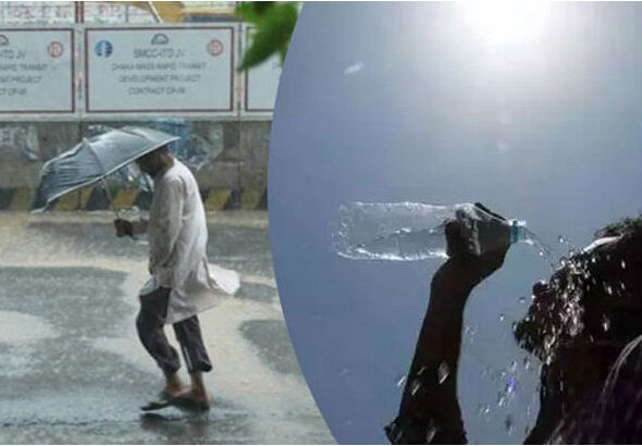 image-801252-1714759137