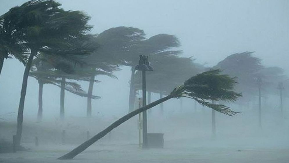 image-801864-1714892871-69ec5f17e840e