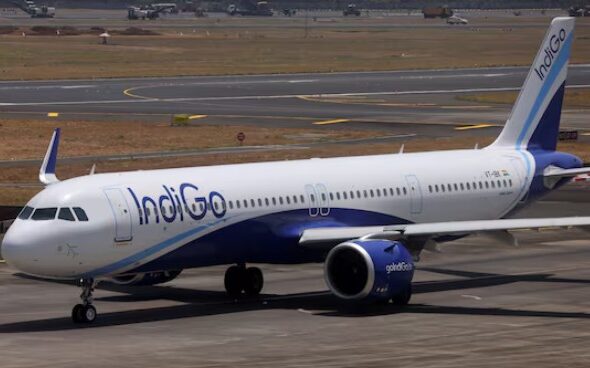 indigo-