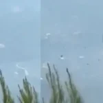 1785685928-c1f4f5cac192af9cdc2545ed33754564