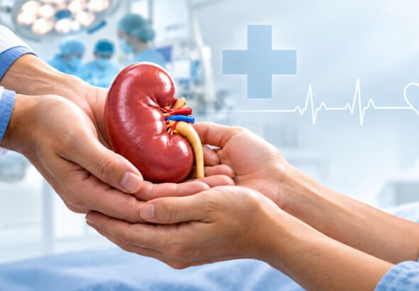 Kidney-Transplant